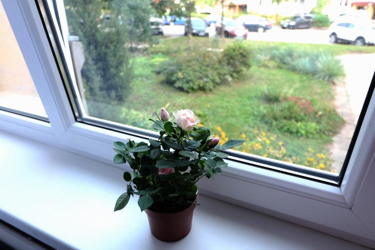 Apartmán Jaukus Koko Butas 1 Aukste Kaunas Exteriér fotografie